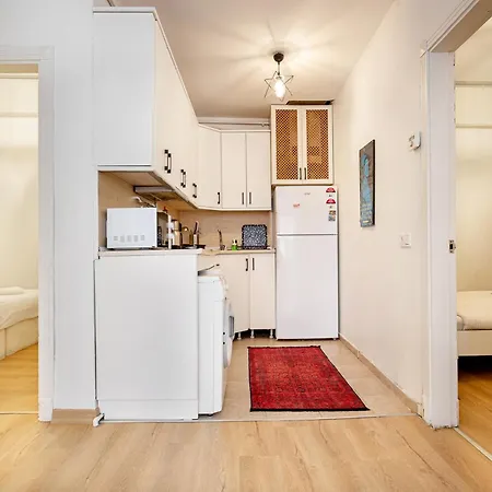 Apartament Istanbul'un Tarihi Boelgesi'nde Modern Konforlu *